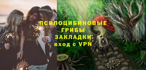 эйфоретик Алексин