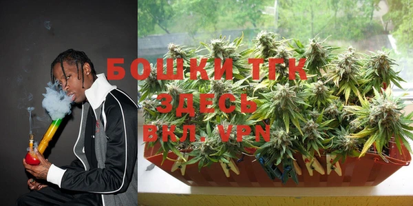 молекула духа Алексеевка
