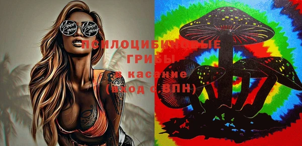 молекула духа Алексеевка
