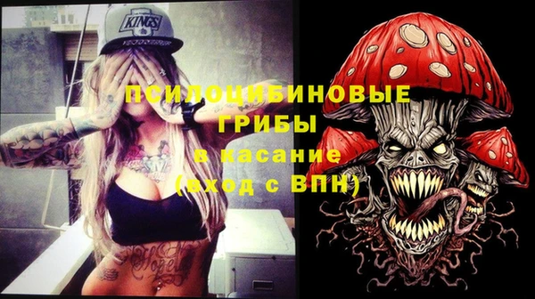 молекула духа Алексеевка