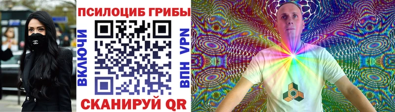 Галлюциногенные грибы GOLDEN TEACHER  где купить наркоту  Каменск-Уральский 